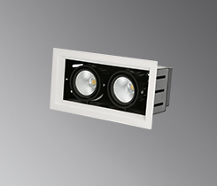 Adjustable - LC-AG301-2x15W