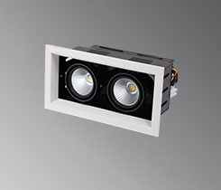 Adjustable - LC-AG301-2x25W