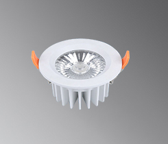 IP65 Waterproof - LC-IP65-COB-5W